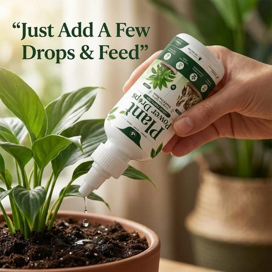 🌱 Plant Nourish Pro™ – Complete Care For Indoor & Outdoor Plants
